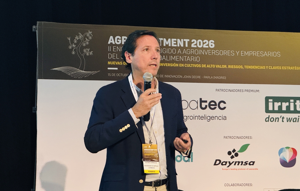 Alfonso Dom�nguez