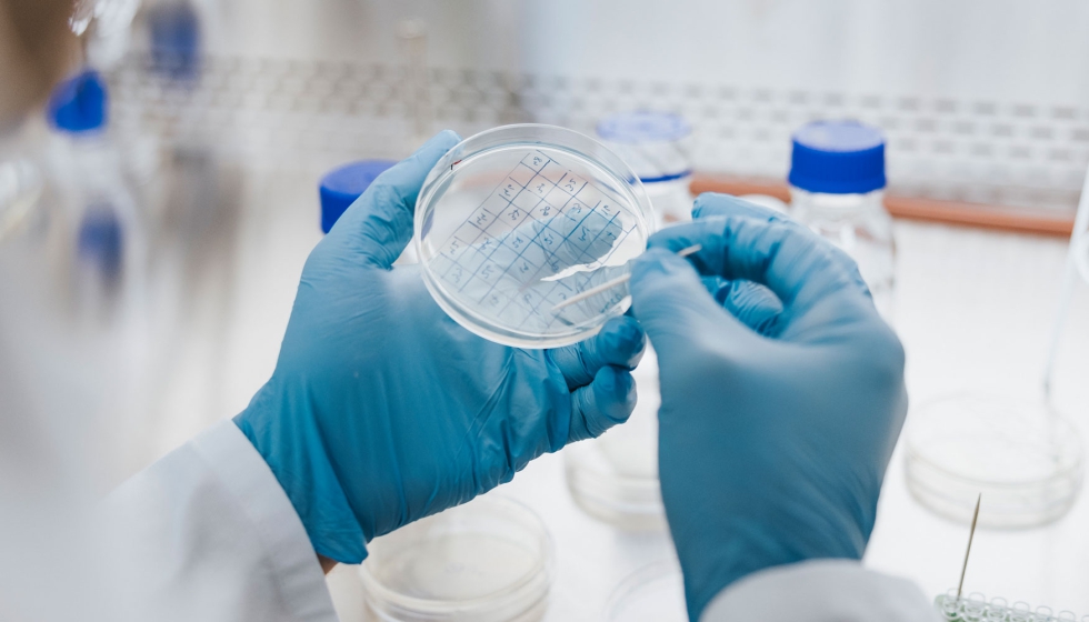 Los ensayos microbiol�gicos permiten evaluar la eficacia de las soluciones antimicrobianas desarrolladas para diferentes aplicaciones industriales...
