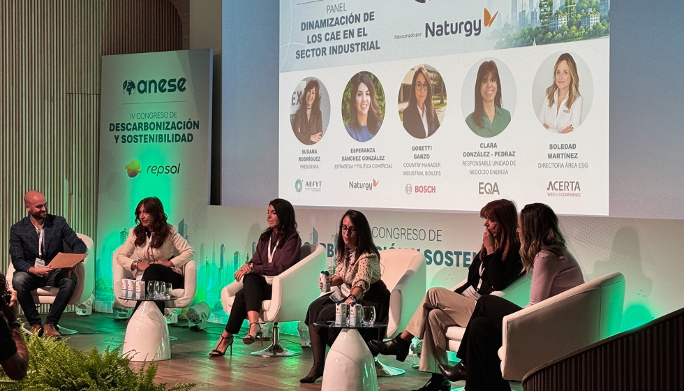 Panel sobre la dinamizaci�n de los CAE en el sector industrial