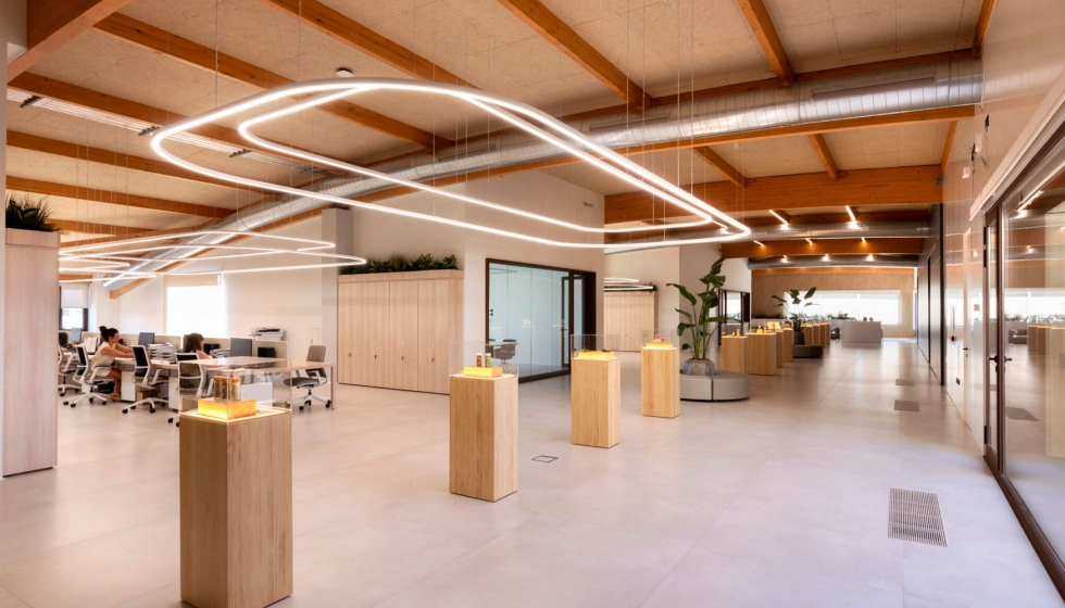 Las nuevas oficinas de Carmencita incorporan luminarias Curve Create, pertenecientes a las soluciones Bespoke de Tecsoled...
