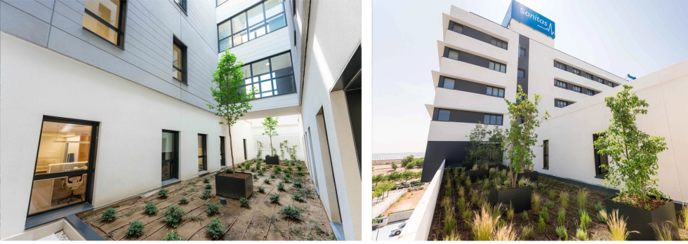 El jard�n combina especies como hiedra, ficus rastrero, cintas, helechos y arbustos de hoja perenne, contribuyendo a captar CO2...