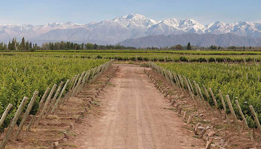 Grupo Pre�aflor es una de las empresas vitivin�colas referentes de Argentina