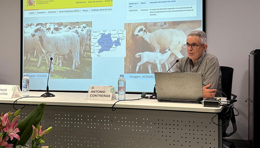 Ponencia de Antonio Contreras