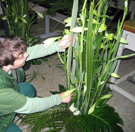  El perfil de los alumnos que se inscriben en un ciclo formativo de jardinera y floristera es muy amplio e incluye desde jvenes que acaban de...