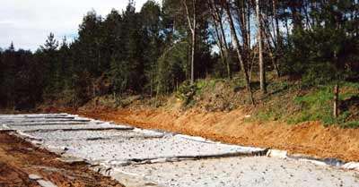 Figura 4. Relleno y plantacin de los humedales (Marzo 2001)