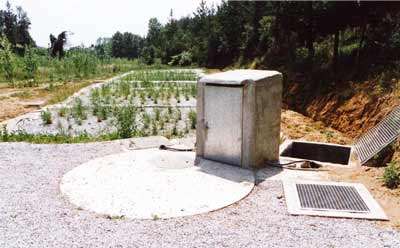 Figura 5. Humedales con cobertura incipiente (Abril 2001). Se observa la cubierta del tanque Imhoff y la caseta donde se encuentra el caudalmetro...
