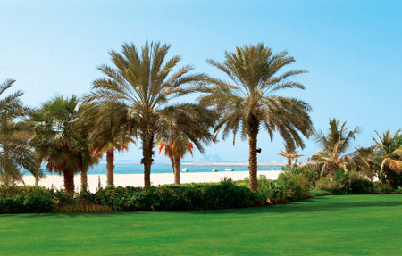 Adem�s del clima y el consumo h�drico, hay que seleccionar una mezcla u otra de c�sped en funci�n de su uso futuro (ornamental, deportivo...