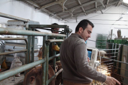 En la foto, el investigador y doctor Guillermo Ripoll, coautor del trabajo...