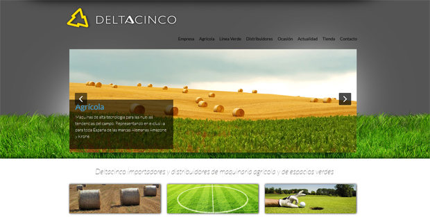 Nueva imagen de la web de Deltacinco