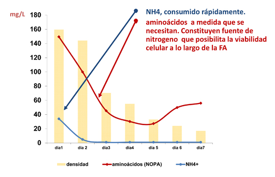 Figura 2: Evolucin del contenido en Amonio (NH4) y aminocidos del mosto en fermentacin alcohlica