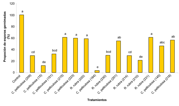 Figura 5: Efecto de las levaduras seleccionadas sobre la germinacin de esporas de Botrytis cinerea...
