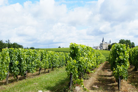 Un viedo en la zona vincola de Burdeos (Francia). Foto: Samuel Rosa