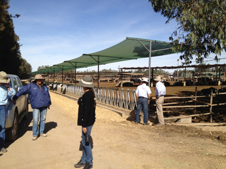 Visita a la granja de Arequipa