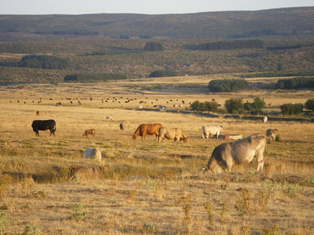 Foto: www.Asaja.com