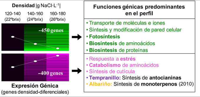 Figura 3: Anlisis de expresin gnica...