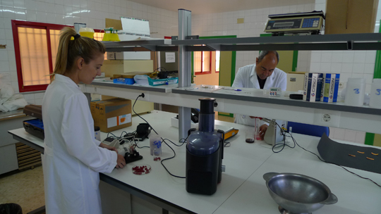 Investigadores en el laboratorio de la Estacin Experimental de Elche