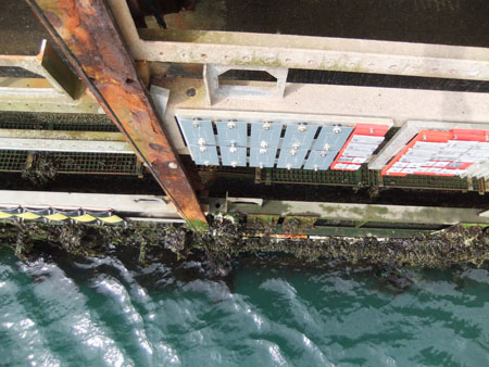 Probetas sometidas a diferentes ambientes marinos