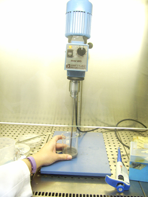  Proceso de elaboracin de los Itts o integradores tiempo-temperatura. La imagen, en concreto, corresponde a la fase de agitacin...