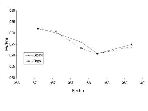 Fig.7: Evolucin del parmetro Fv/Fm en la variedad Albario