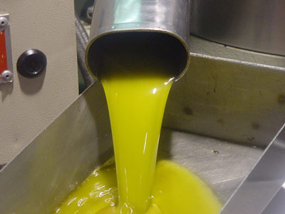 El precio del aceite de oliva en origen podra llegar a los 3 euros si las cooperativas y almazaras se muestran reticentes a la hora de vender en los...