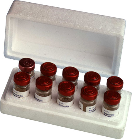 Vacunas en envase de poliestireno expandido