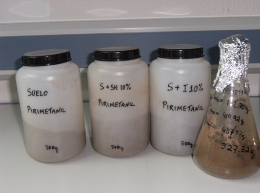 Incubacin de suelo de viedo enmendado con sustrato postcultivo de hongos y tratado con fungicida en condiciones de laboratorio...
