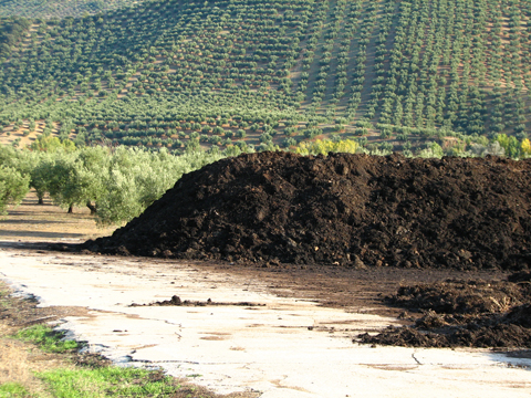La aplicacin del orujo como compostaje en los suelos ayuda a mejorar su contenido en nutrientes y materia orgnica