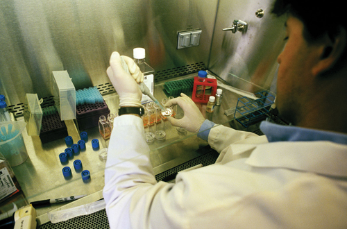 Actualmente, las investigaciones en nutrigen�mica se est�n centrando en la identificaci�n de m�s componentes bioactivos de la dieta...