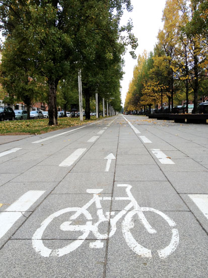 Cmara: Es tan cierto que los peatones invaden los carriles bici como que las bicis circulan por las aceras