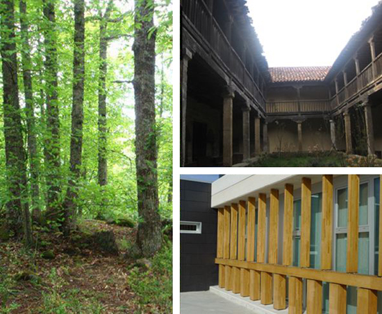 El sector de la construccin es consciente de las potencialidades de la madera de castao