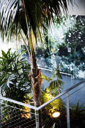 En la galera central se alza la palmera Kentia, una modalidad de hoja perenne procedente de la isla australiana de Howe...