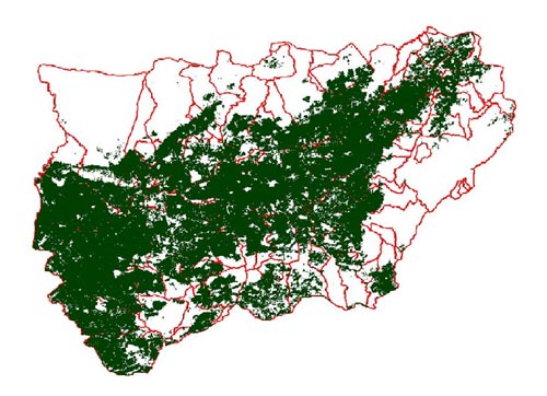 Figura 1. Distribucin del cultivo del olivar en la provincia de Jan