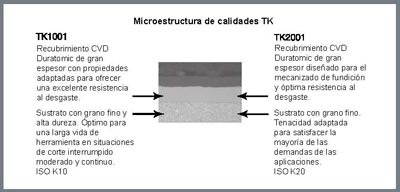 Microestructura TK