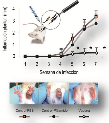 Figura 1...