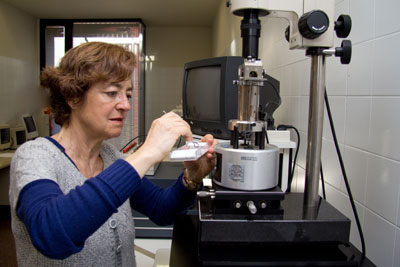 Nria Ferrer investiga las propiedades elctricas y electrnicas de los nanotubos de carbono. Foto: UPC