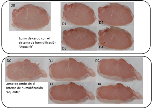 Figura 4: Evolucin del aspecto visual del lomo de cerdo