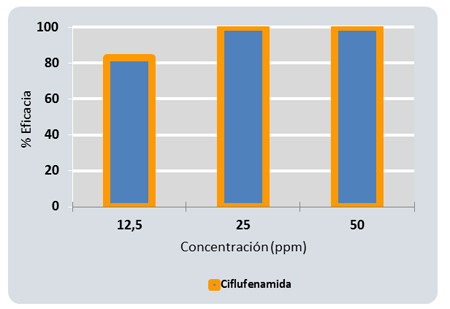 Grfico 1: Actividad translaminar de ciflufenamida para el control de 'Podosphaera fusca' (Fries) Braun et...