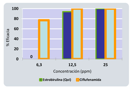 Grfico 3: Persistencia de ciflufenamida para el control de 'Podosphaera fusca' (Fries) Braun et. en pepino, 10 das despus su aplicacin...