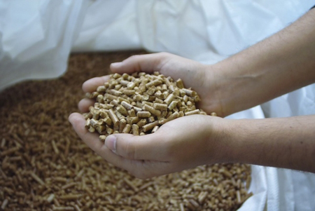 El pellet de calidad EN plus es el biocombustible ms utilizado en Europa para usos trmicos en edificios