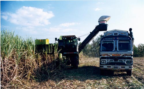 La cosechadora para caas de azcar fue uno de los grandes hitos para entrar en los mercados tropicales y sub-tropicales...