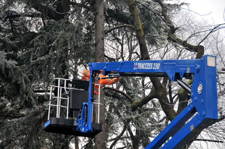 Plataforma de orugas Traccess 230