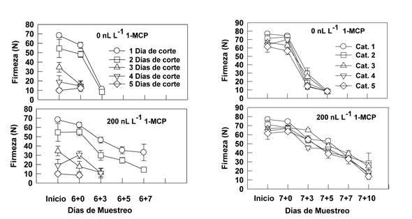 Figura 4: Efectividad del 1-MCP en frutos de aguacate 'Hass' de diferentes das de corte y grado de madurez. Inifap 2008...