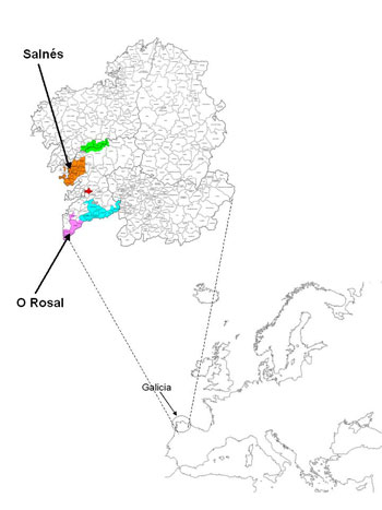 Figura 1: Localizacin geogrfica de la Denominacin de Origen Ras Baixas y de las dos subzonas consideradas en este estudio...
