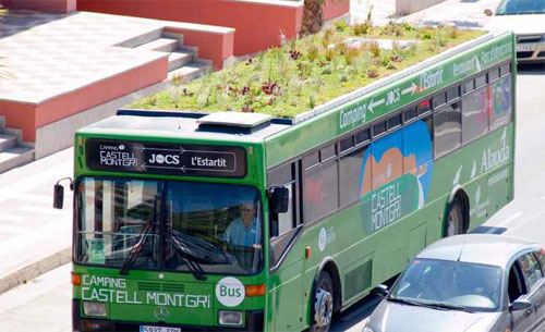 El bilogo y jardinero Marc Gran expuso el ejemplo de los autobuses ajardinados de L'Estartit (Girona)