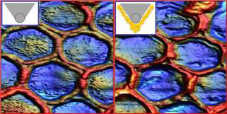Comparative of images of AFM taken on the same region of some reverse opals. To the left, the image purchased with a commercial tip...