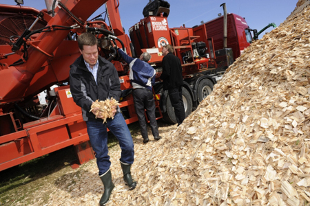 La economa de escala en el aprovechamiento de la biomasa forestal va a ser clave a medida que el mercado madura...