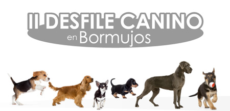 Los participantes podrn optar al premio al perro ms grande, al ms pequeo, al ms guapo y al ms obediente