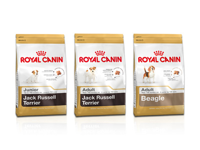 gips staan Is Royal Canin Launches new products for Jack Russel and Beagle -