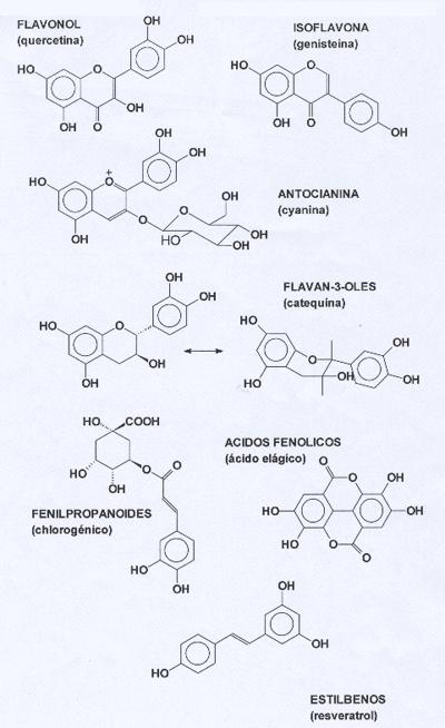 Figura 1: Grupos de sustancias polifenlicas de importancia en frutas y hortalizas