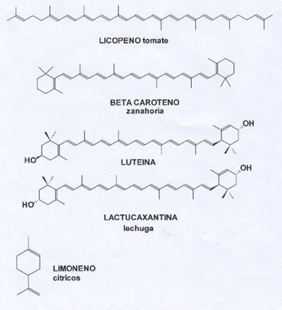 Figura 2: Sustancias carotenoides de importancia en frutas y hortalizas